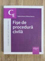 Gabriel Boroi - Fise de procedura civila 