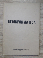 Georgeta Mihnea - Geoinformatica