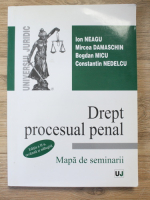 Ion Neagu - Drept procesual penal. Mapa de seminarii