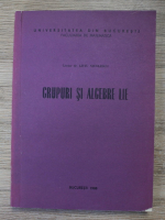 Liviu Nicolescu - Grupuri si algebre Lie