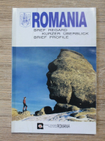 Anticariat: Nicolae Sarambei - Romania. Bref regard