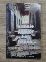 Olga Greceanu - Pe urmele pasilor Tai, Iisuse... Jurnal de calatorie in tara Sfanta