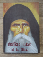 Parintele Paisie de la Sihla