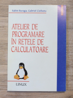 Sabin Buraga, Gabriel Ciobanu - Atelier de programare in retele de calculatoare