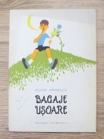 Tudor Mainescu - Bagaje usoare