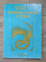V. Moldovan - Modernizari in sectiile de forjare