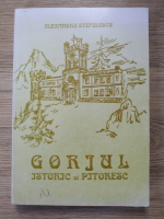 Anticariat: Alexandru Stefulescu - Gorjul istoric si pitoresc (editie facsimil, 1904)