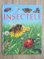 Anticariat: Emilie Beaumont - Enciclopedia animalelor in imagini. Insectele pe intelesul copiilor