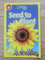 Kristin Baird Rattini - Seed to plant