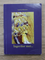Anticariat: Larisa Bracea - Ingerilor mei