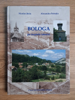 Nicolae Steiu - Bologa pe treptele istoriei