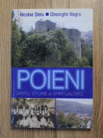 Nicolae Steiu, Gheorghe Negru - Poieni, spatiu, istorie si spiritualitate