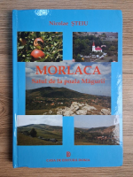 Nicolae Steiu - Morlaca. Satul de la poala Magurii