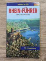 Anticariat: Rhein-fuhrer mit Rheinaulf panorama