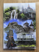 Anticariat: Vasile Cosmin Nicula - Hunedoara, taram binecuvantat (volumul 1)