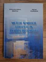 Anticariat: Antoneta Iuliana Bratcu - Metode numerice utilizate in analiza sistemelor. Aplicatii