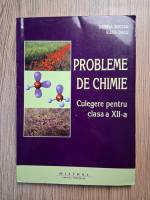 Daniela Bogdan - Probleme de chimie. Culegere pentru clasa a XII-a