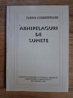 Anticariat: Florin Candroveanu - Arhipelaguri de sunete