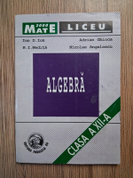 Ion D. Ion - Algebra, clasa a XII-a