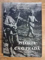 Anticariat: Rodica Smaranda Vulcanescu - Istoria ca o prada