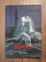 Stefan Gae - O panorama a sinelui