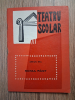 Stefan Tita - Soimul ranit