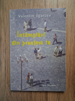 Valentin Sgarcea - Intamplari din preajma ta