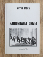 Anticariat: Victor Stoica - Radiografia crizei