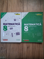 Anticariat: Anton Negrila, Maria Negrila - Matematica. Algebra, geometrie clasa a VIII-a 