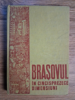 Anticariat: Brasovul in cincisprezece dimensiuni