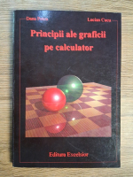 Dana Petcu - Principii ale graficii pe calculator