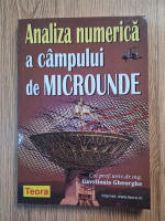 Gavriloaia Gheorghe - Analiza numerica a campului de microunde