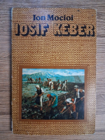 Anticariat: Ion Mocioi - Pictorul Iosif Keber