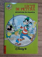 Lectii de pictura. Aventuri in Franta