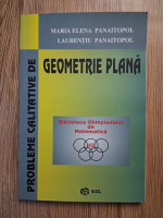 Maria Elena Panaitopol - Probleme calitative de geometrie plana
