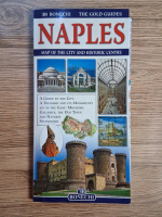 Anticariat: Naples. Map of the ciry and historic centre