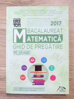 Rodica Resiga - Matematica. Ghid de pregatire