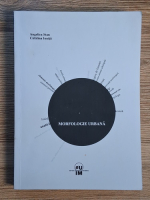 Angelica Stan - Morfologie urbana