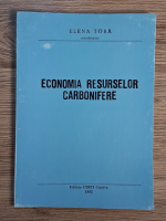 Elena Toba - Economia resurselor carbonifere