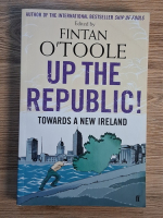 Fintan OToole - Up the republic! Towards a new Ireland