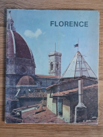 Anticariat: Florence (ghid de calatorie)