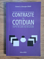 Gheorghe Cireap -  Contraste in cotidian. Fapte in care ne regasim