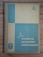 Ion Lungu, Radu Vasile - Din istoricul economiei hunedorene