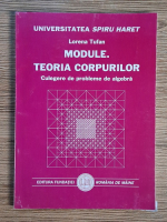Anticariat: Loredana Tufan - Module. Teoria corpurilor. Culegere de progleme de algebra