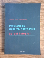 Rodica Luca Tudorache - Probleme de analiza matematica. Calcul integral