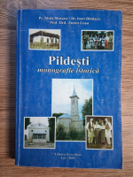 Anticariat: Alois Moraru - Pildesti. Monografie istorica