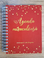 Anticariat: Andreea Ionita, Ana Dragalina - Agenda miraculoasa