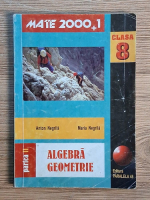 Anticariat: Anton Negrila - Algebra, geometrie pentru clasa a VIII-a (partea a II-a)