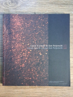 Dan Perjovschi - Cioran in strada (editie bilingva)