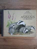 Field guide to the animals of Britain